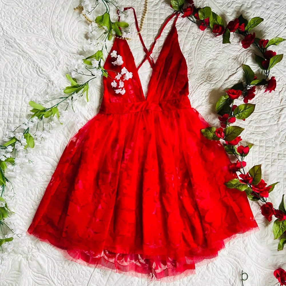 Velvet red dress